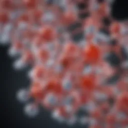 Molecular structure of glutamate dehydrogenase
