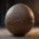 Fossilized giant dinosaur egg showcasing its texture and structure