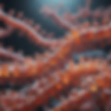 Understanding Translation in Proteins Diagram depicting the translation process in protein synthesis