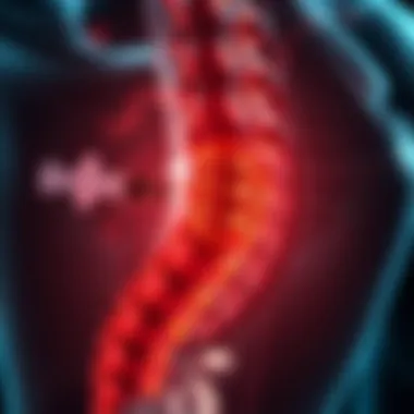 Anatomical overview relevant to spine injections