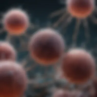 Interaction of Bacteriophages with Bacteria Bacteriophages interacting with bacterial cells