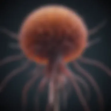 Intricate Structure of Bacteriophages Visual representation of bacteriophage structure