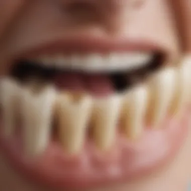 Factors Influencing Bone Density in Teeth Diagram showing factors influencing bone density in teeth