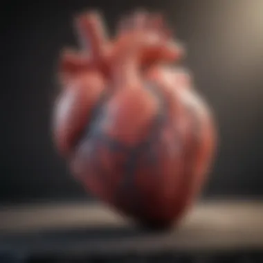 Diagnostic Criteria Overview Graphical representation of diagnostic criteria for borderline heart enlargement