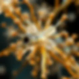 Illustration of calcium sensor mechanisms