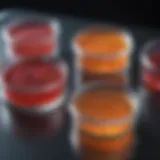 Diverse cell culture plates arranged in a lab setting