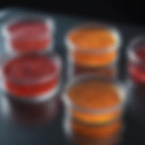 Diverse cell culture plates arranged in a lab setting