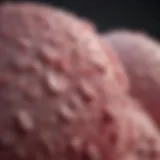 Illustration depicting the composition of dense breast tissue