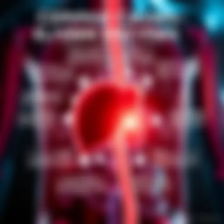 Infographic depicting common causes of elevated liver enzymes