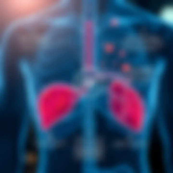Diagram showing the relationship between liver health and lifestyle factors