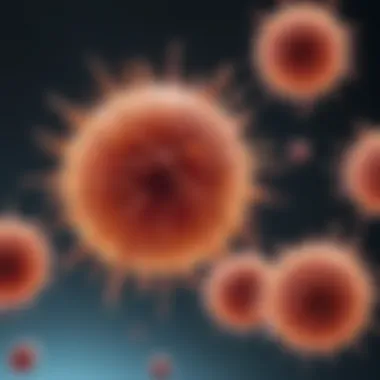 Neutrophil Cells in the Immune Response Visual representation of neutrophil cells.