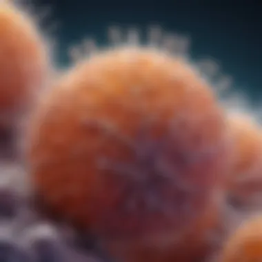 Microscopic view of epithelial cell structure