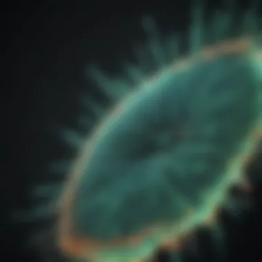 Visualization of GFP fluorescence in live cells