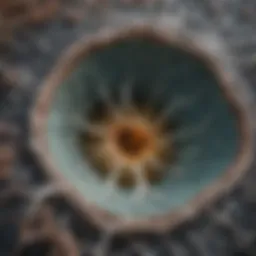 High-resolution CT scan depicting ground glass nodules