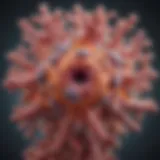 Illustration showing the structure of Immunoglobulin A