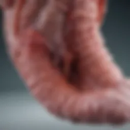 Understanding Ischemic Colitis: An In-Depth Analysis Using ICD-10 Coding Introduction