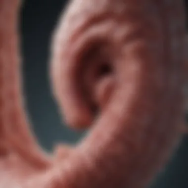 Notable Understanding Ischemic Colitis: An In-Depth Analysis Using ICD-10 Coding Notable Understanding Ischemic Colitis: An In-Depth Analysis Using ICD-10 Coding