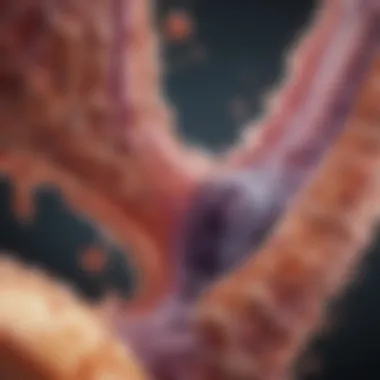 Joint Pain Proteins in Synovial Fluid Illustration of joint pain proteins interacting in the synovial fluid