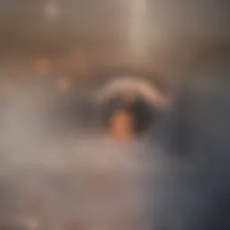 Detailed diagram of pancreatic cystic lesions.