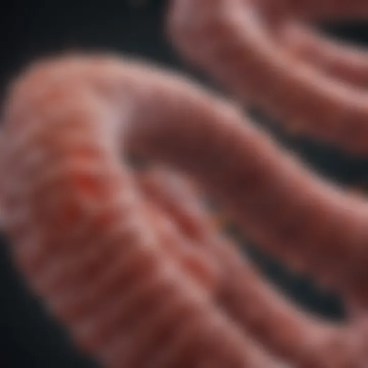 Infographic on factors influencing longevity in colon cancer cases