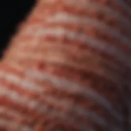 Graph illustrating survival statistics for colon cancer patients