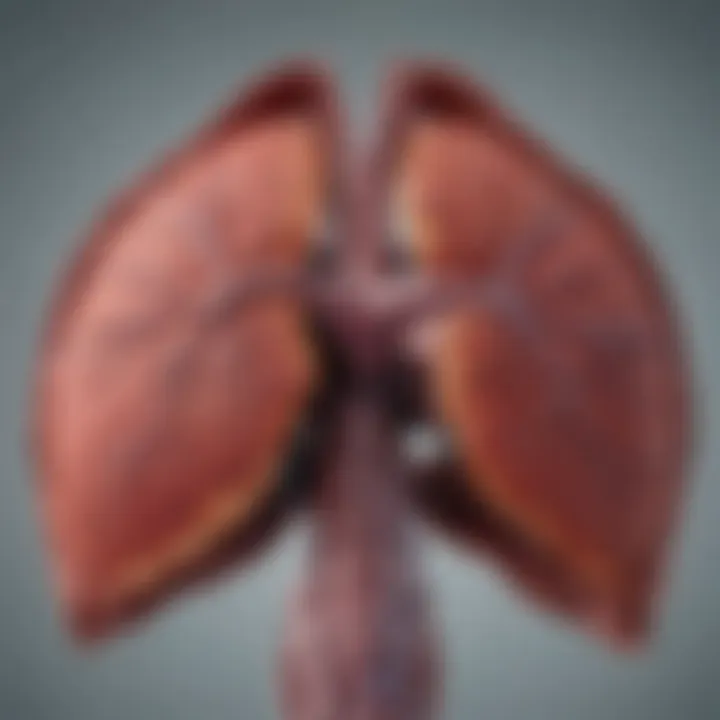 Imaging techniques used for diagnosing liver metastasis.