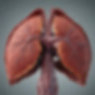Imaging Techniques for Diagnosis Imaging techniques used for diagnosing liver metastasis.