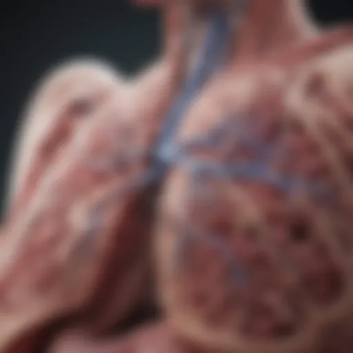 Medical illustration of lung anatomy highlighting adenocarcinoma.