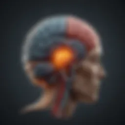 A detailed brain scan illustrating migraine activity