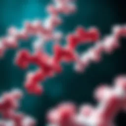 Visual representation of MOG antibody structure