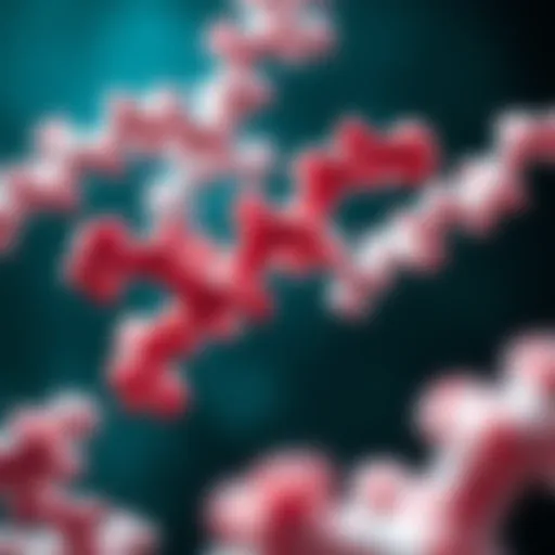 MOG Antibody Structure Visual representation of MOG antibody structure