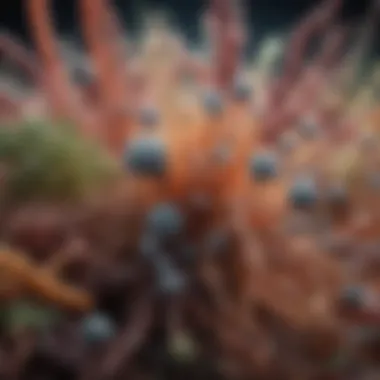 Diverse Microorganisms in the Gut Ecosystem Diverse microorganisms in the gut ecosystem
