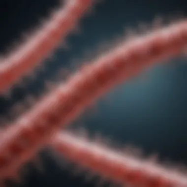 Role of Paxillin Antibodies in Cellular Signaling Pathways Paxillin antibodies in cellular signaling pathways