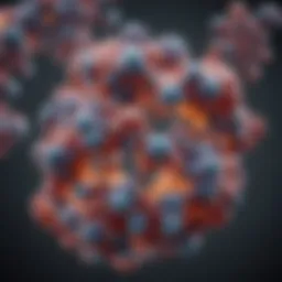 Paxillin protein structure diagram