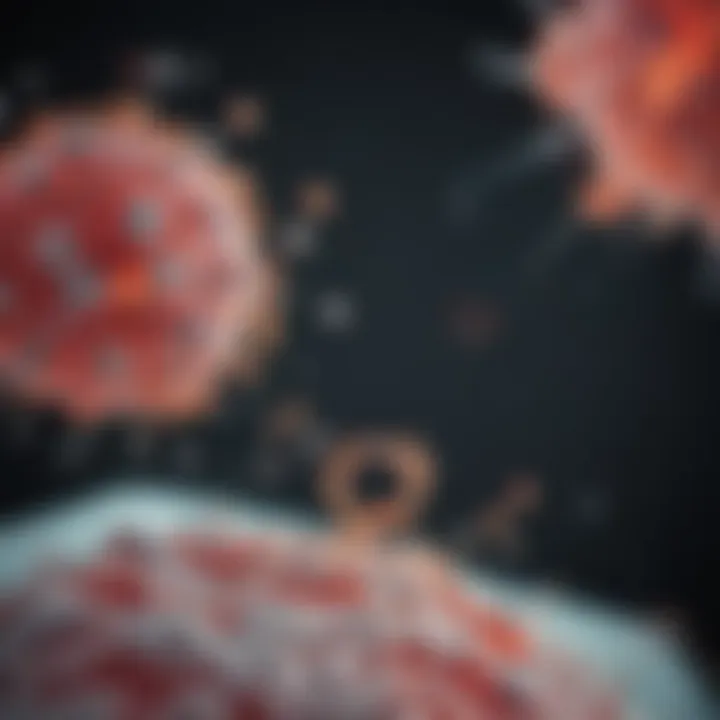 Research applications of paxillin antibodies