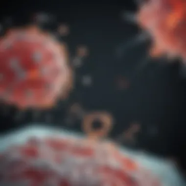 Exploring Research Applications of Paxillin Antibodies Research applications of paxillin antibodies