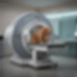 Veterinary clinic with advanced MRI technology