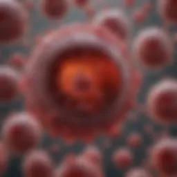 Visual representation of the biological mechanisms of precocious anemia