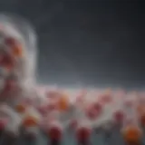 Visual representation of probiotics and their benefits