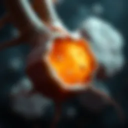 Bone marrow affected by RAEB-2