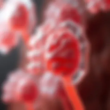 Graphic showing renal cell functions in homeostasis