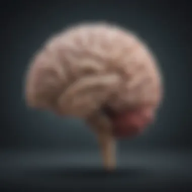 Illustration of Brain Affected by Memory Loss A brain illustration highlighting areas affected by memory loss