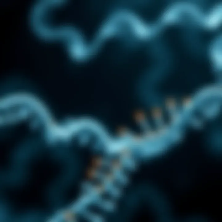 Diagram illustrating the role of transfer RNA in amino acid delivery