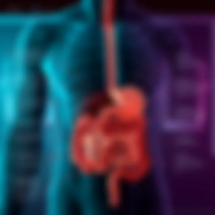 Gastrointestinal Disorders Overview Chart depicting common gastrointestinal disorders linked to left abdominal tenderness