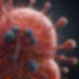 Illustration depicting the biological mechanisms of inflammation