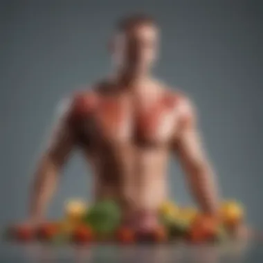 Diagram illustrating dietary influences on body inflammation