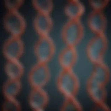 Genetic variations illustrated through DNA strands