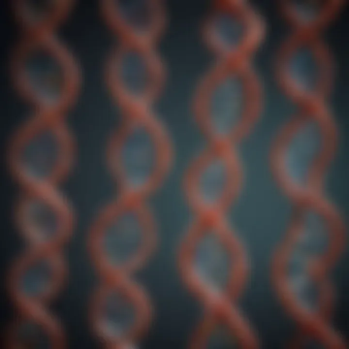 Genetic variations illustrated through DNA strands
