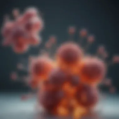 Illustration of antibody production process in the immune response