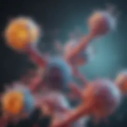 Illustration of antibody structure showcasing binding sites and variable regions